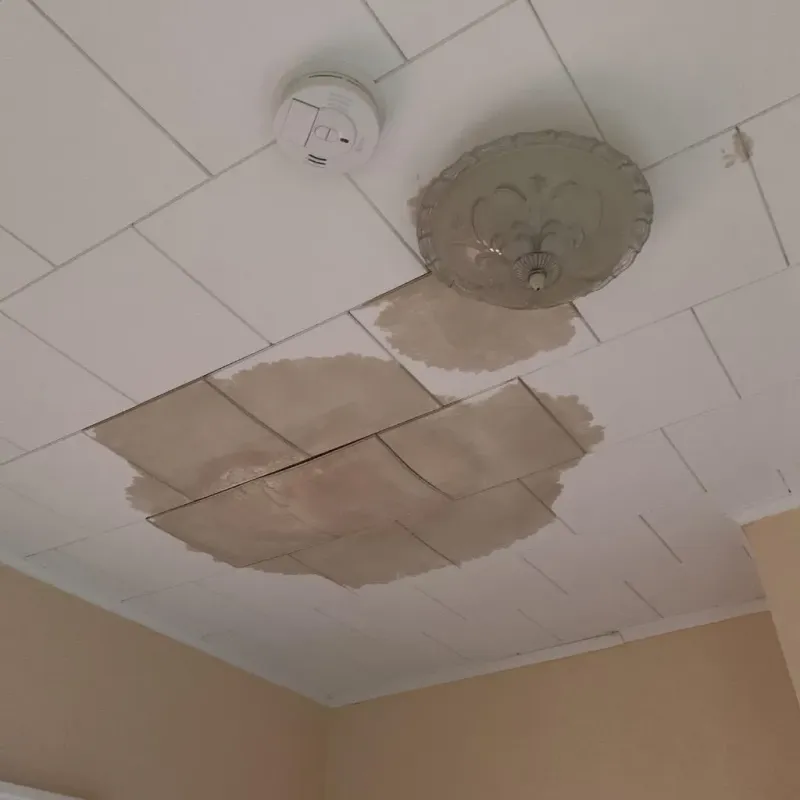 Ceiling Water Damage Repair in Jordan, MN