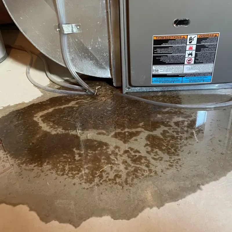 Pipe Burst and Leak Restoration in Jordan, MN