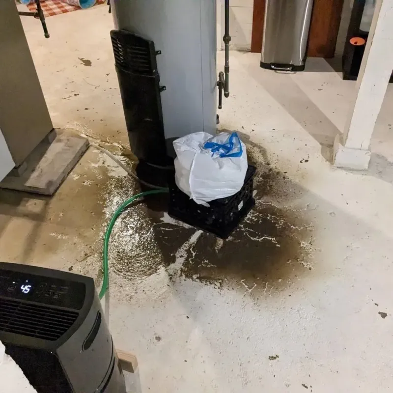 Sewage Backup Cleanup Service in Jordan, MN